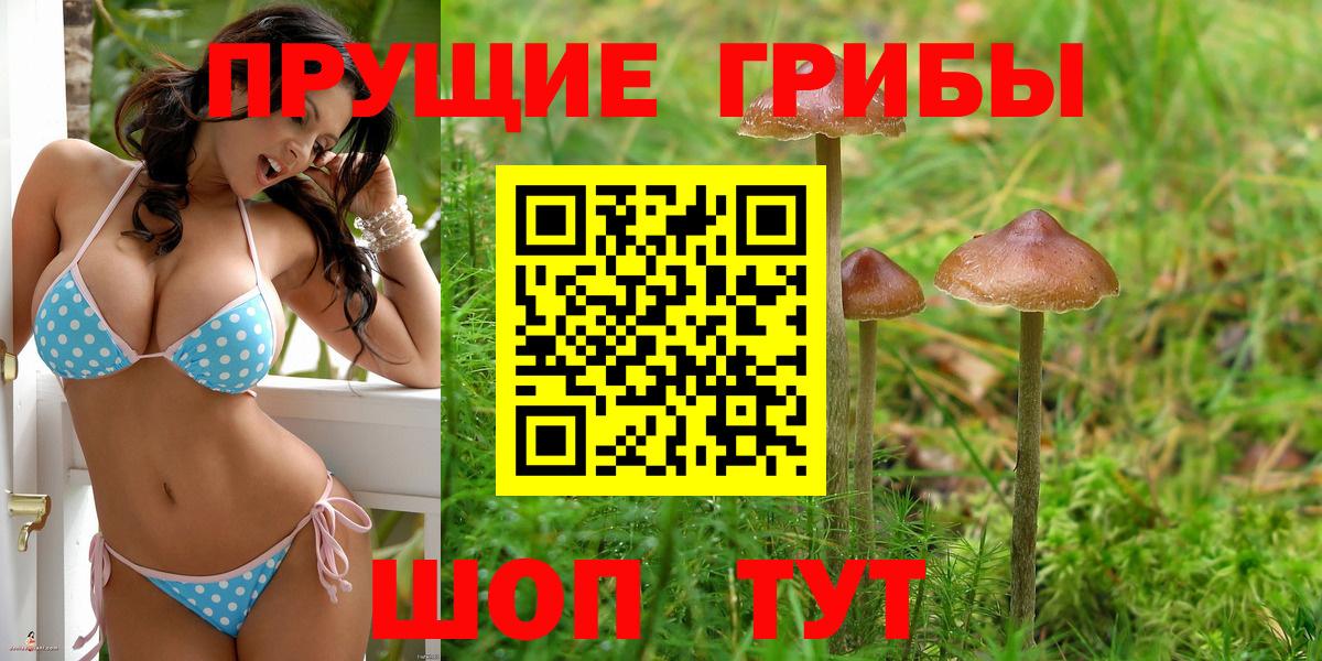 Галлюциногенные грибы GOLDEN TEACHER Заинск